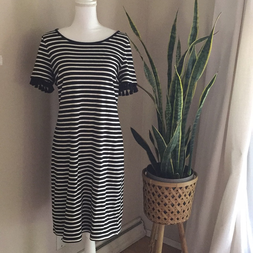 Talbots Stripped Dress